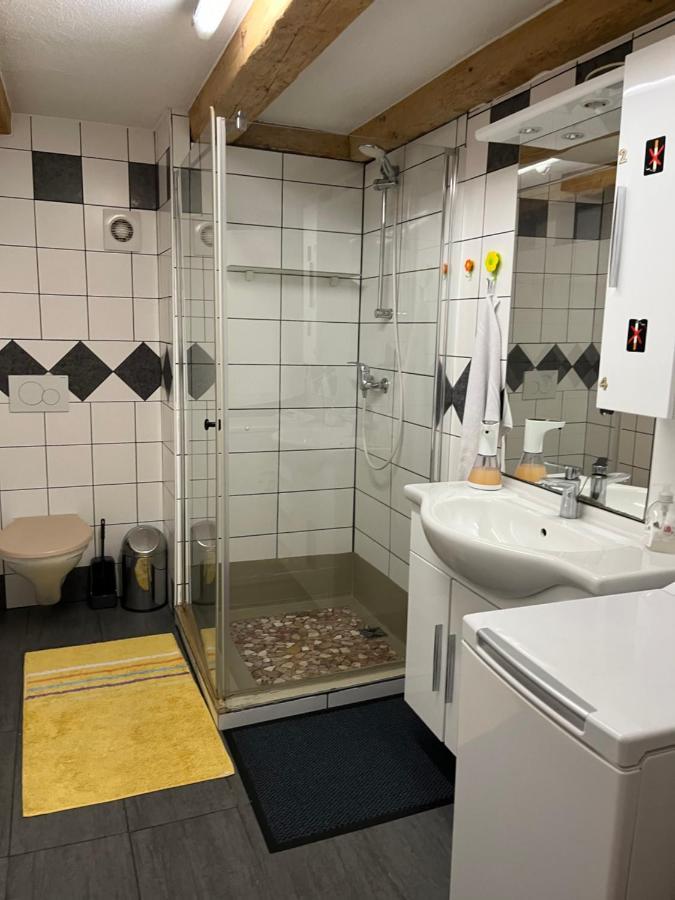 Chambre Papillon Avec Acces Terasse La Neuveville Dış mekan fotoğraf