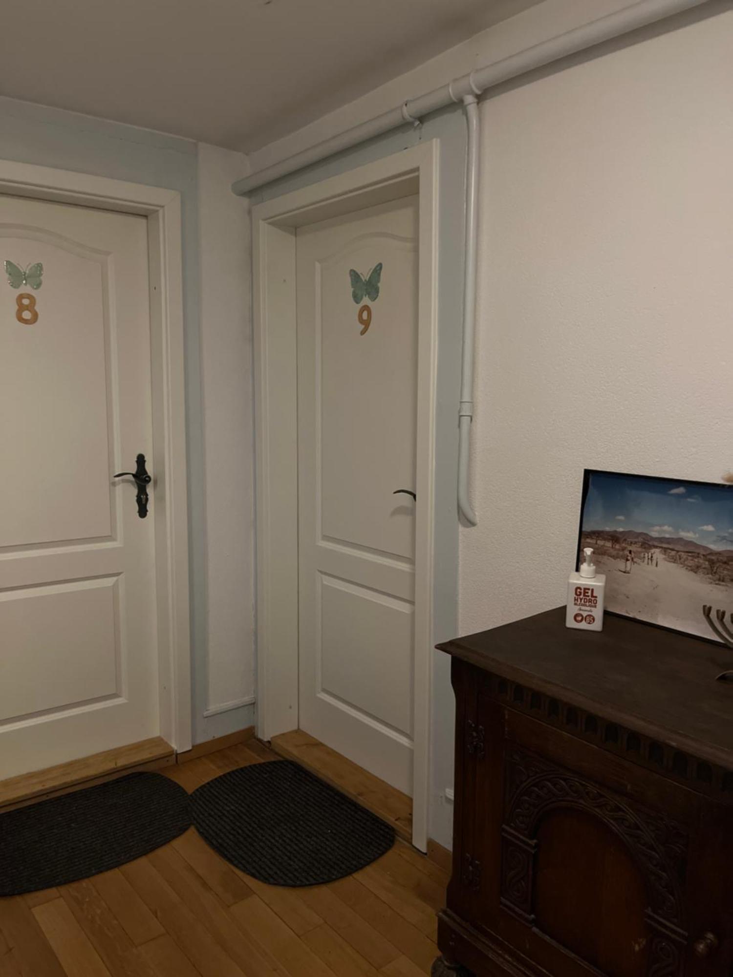 Chambre Papillon Avec Acces Terasse La Neuveville Dış mekan fotoğraf